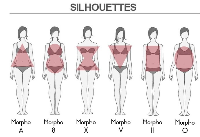 type de morphologies