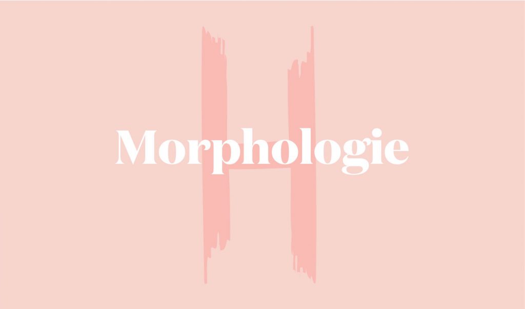 morphologie H femme
