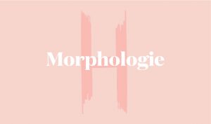 morphologie H femme
