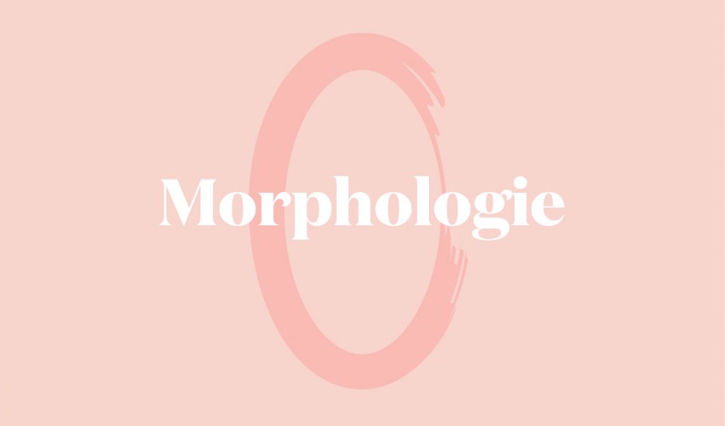 morphologie femme O