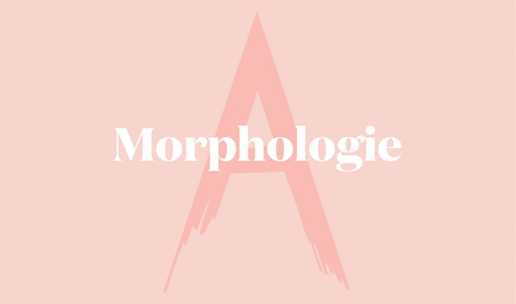morphologie A femme