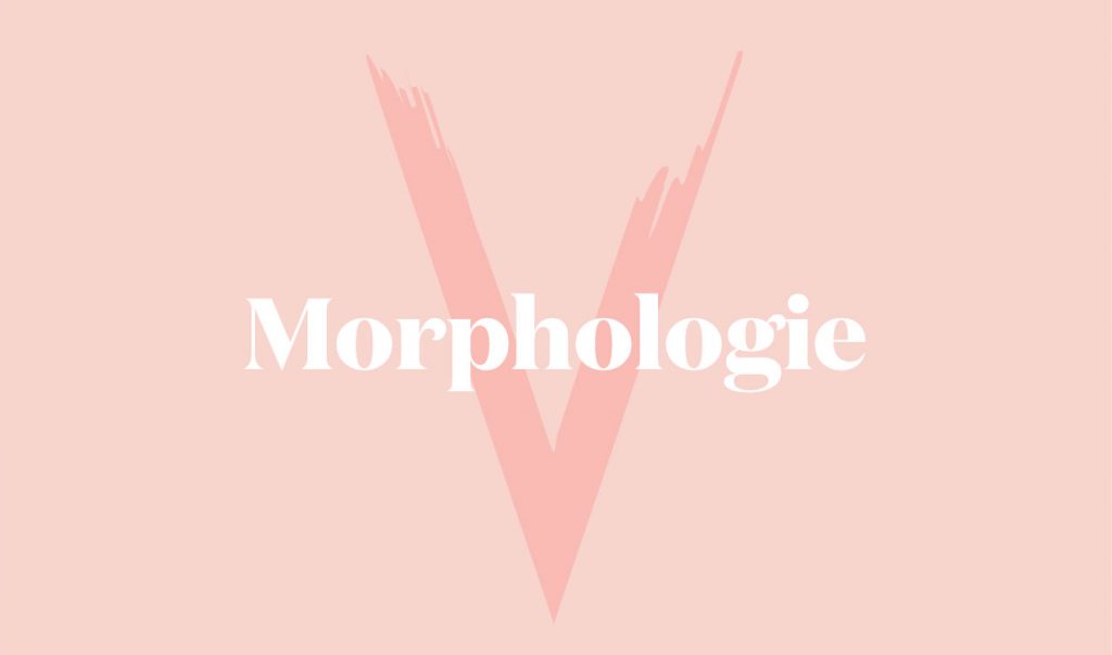 Morphologie V femme