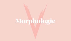 Morphologie V femme