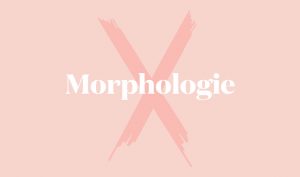 Morphologie X femme