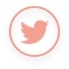 Lien Twitter